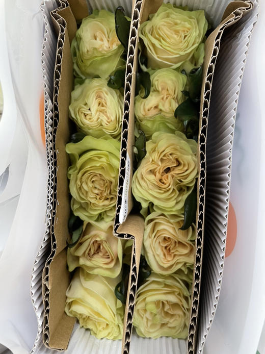 海盛玫瑰琉璃翠10支扎