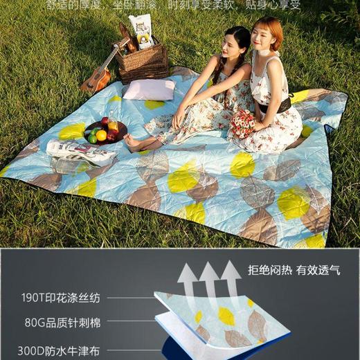 探险者超声波野餐垫/个 商品图0