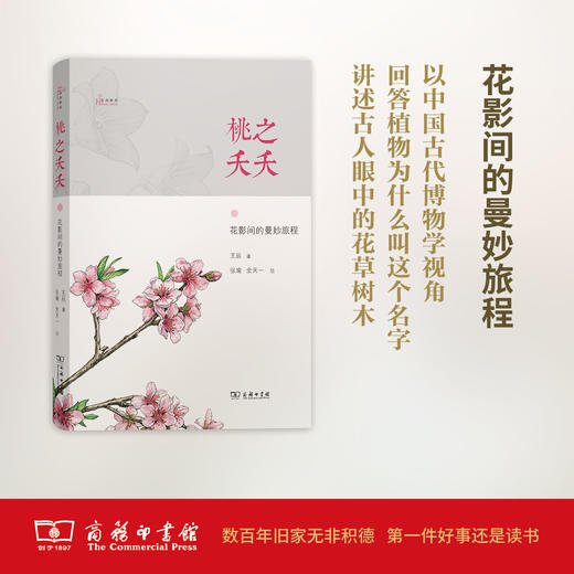 桃之夭夭——花影间的曼妙旅程(自然感悟) 商品图0