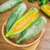 【山东羊角蜜甜瓜】脆甜多汁，咬着脆，吃着甜，连皮带籽一起吃，绵中带脆，咬上一口满嘴留香 商品缩略图6