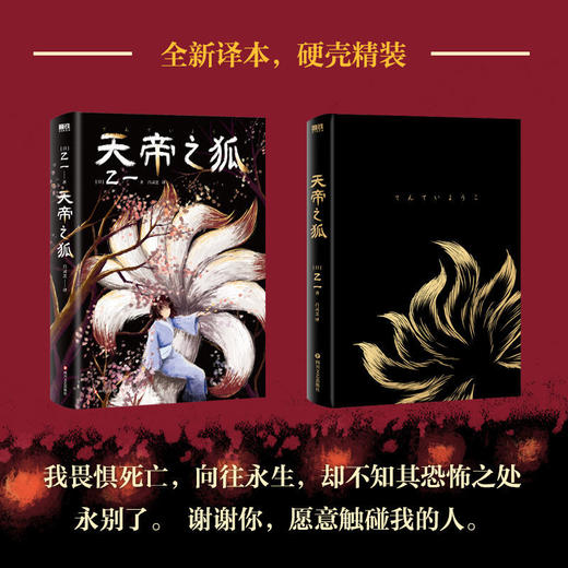 天帝之狐 黑乙一代表作《夏天、烟火和我的尸体》推理悬疑小说 商品图3