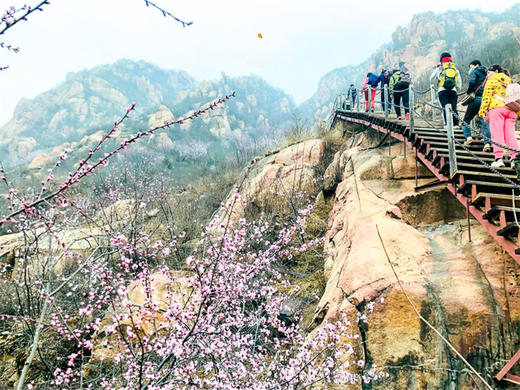 【后花园1日】燕平八景-神岭千峰-虎峪辉金漫山芬香北京后花园 商品图6