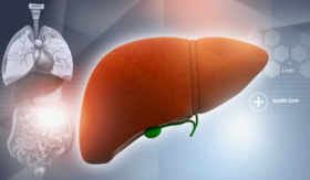 肝是身体的“油箱”，这些信号提醒你，再不养肝就晚了！ 