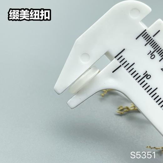 S5351(整包购买) 商品图7