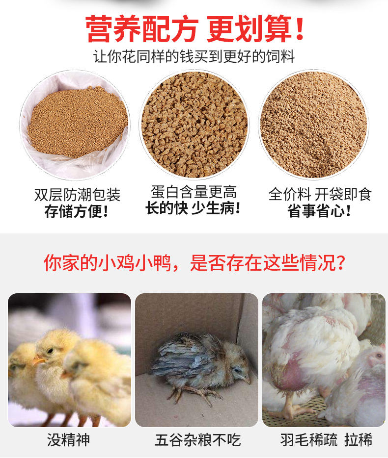 中农康畜雏鸡饲料56斤实惠装臻选原料营养丰富蛋白含量高长得快双层