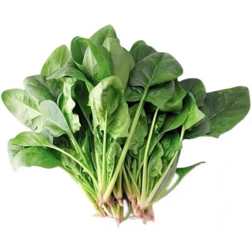 菠菜（斤） 商品图0