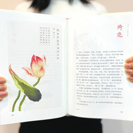 你好，中国花语——一本送给花卉、诗词和艺术爱好者的精美图册 商品图8