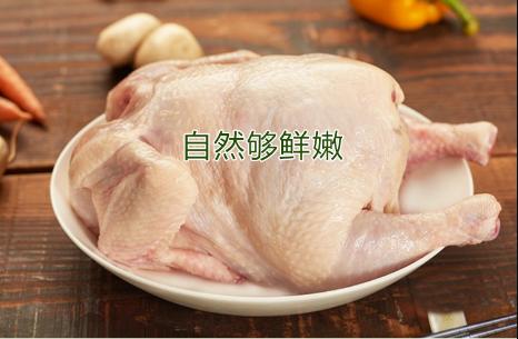 南门农艺园散养童子鸡 商品图1