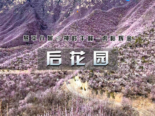 【后花园1日】燕平八景-神岭千峰-虎峪辉金漫山芬香北京后花园 商品图0