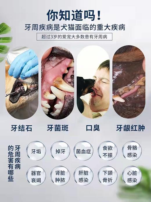 “加量不加价”瑞典进口博乐丹洁牙粉猫狗通用50g一瓶包邮（2026/11）院线版 商品图7