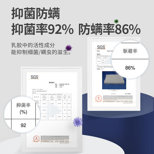 佳奥 波浪形大颗粒乳胶枕J13B22AW2 商品图4