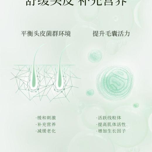 温泉藻头皮养护洗发水温和版/瓶 商品图1