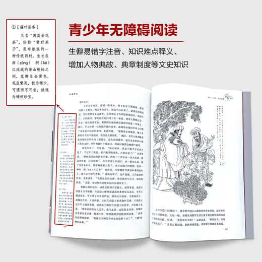 简明故事版四大名著（全四册） | 青少版有声伴读 康辉、朱广权等名家领读 商品图4