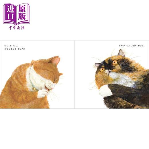 【中商原版】黑猫和白猫 町田尚子 ねことねこ 日文低幼精装绘本 商品图3