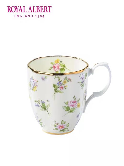 【6F】RoyaI AIbert皇家道尔顿 阿尔伯特百年系列骨瓷马克杯。多色可选 商品图3