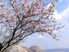 【后花园1日】燕平八景-神岭千峰-虎峪辉金漫山芬香北京后花园 商品缩略图7