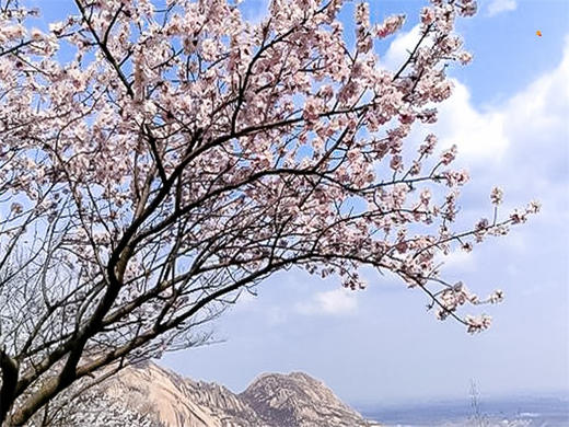 【后花园1日】燕平八景-神岭千峰-虎峪辉金漫山芬香北京后花园 商品图7