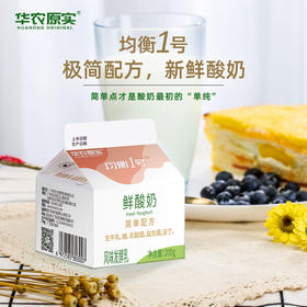 华农原实低温鲜酸奶均衡1号200g*12盒一整箱早餐益生菌牛奶乳酸菌
