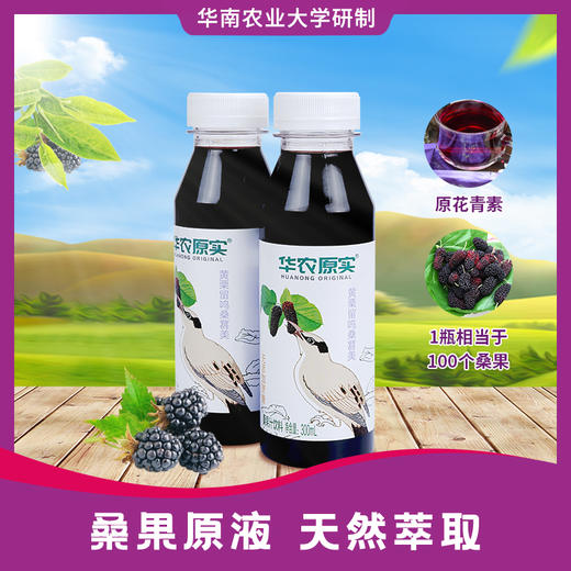 广东华农原实原桑果桑葚汁300ml*10瓶/箱 商品图0