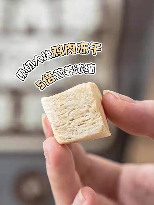 倍内菲无谷鸡肉冻干猫粮6.8kg 商品图3