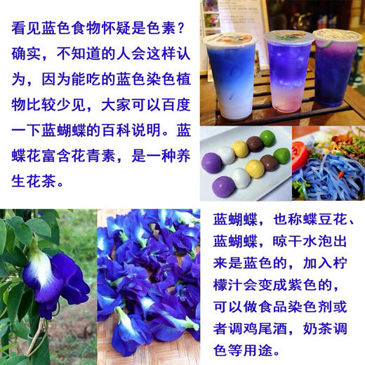 蓝蝴蝶 商品图4