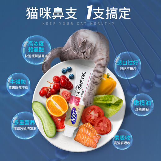 MAG 猫胺营养膏 猫氨膏 补充赖氨酸 120g/支 商品图4
