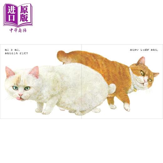 【中商原版】黑猫和白猫 町田尚子 ねことねこ 日文低幼精装绘本 商品图2