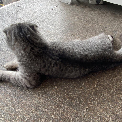 女巫商品0413 商品图0