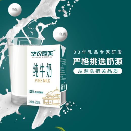 华农原实纯牛奶16盒装*250毫升 商品图4