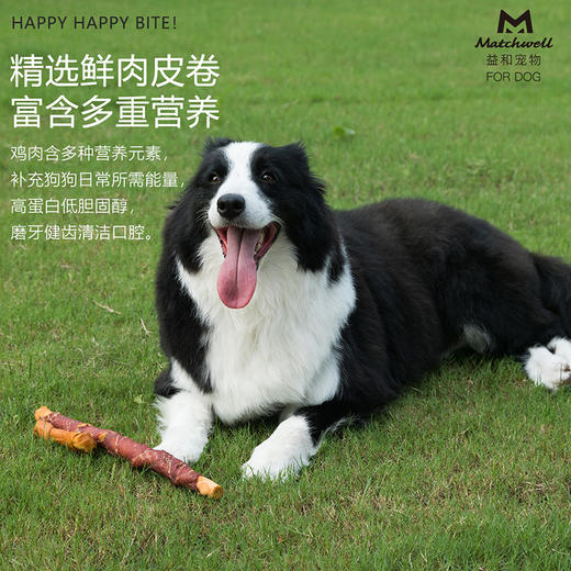 益和 磨牙棒 五寸棒 一米棒 犬用磨牙棒鸡肉鸭肉 商品图1