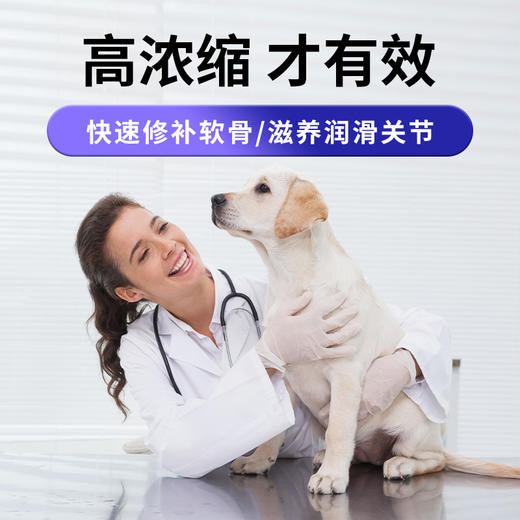 U+系列 MAG【关节生医护版】狗狗专用 鲨鱼软骨素狗狗宠物腿瘸关节生关节宝关节粉钙片补钙 40片/盒 商品图2