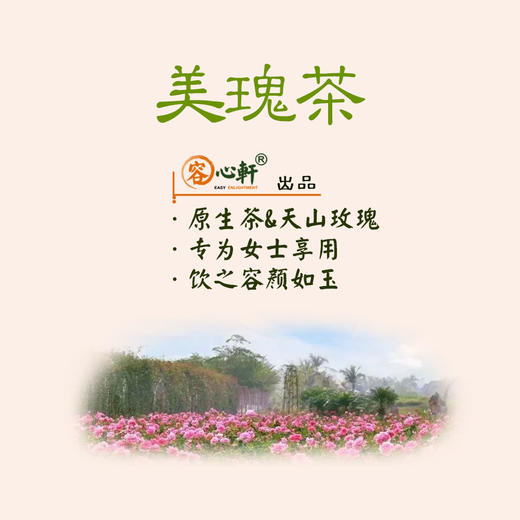 美瑰茶（一盒7泡，  2.5克/泡） 商品图0