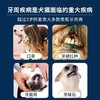 “加量不加价”瑞典进口博乐丹洁牙粉猫狗通用50g一瓶包邮（2026/11）院线版 商品缩略图6
