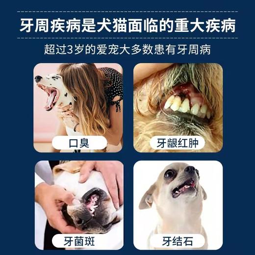 “加量不加价”瑞典进口博乐丹洁牙粉猫狗通用50g一瓶包邮（2026/11）院线版 商品图6