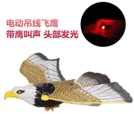 电动发光老鹰 吊线玩具头部闪光有叫声音乐电动吊线飞鹰鹦鹉玩具 商品图1