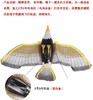 电动发光老鹰 吊线玩具头部闪光有叫声音乐电动吊线飞鹰鹦鹉玩具 商品缩略图2