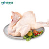 伊利雅斯三黄鸡公鸡 新鲜清真鸡肉  5只/箱 配送包邮（仅限江浙沪地区） 商品缩略图0