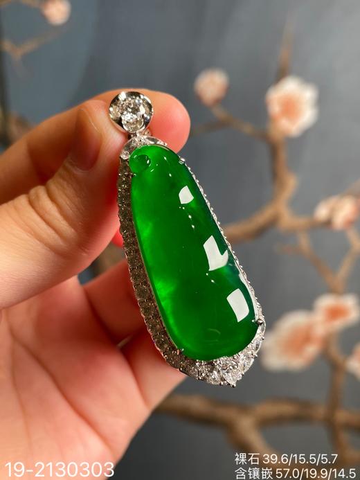 老坑玻璃帝王绿福豆吊坠【19-2130303】具体价格微信咨询 商品图0