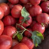 陕西普罗旺斯西红柿新鲜现摘沙瓤5斤净重包邮 商品缩略图2