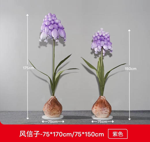 风信子（运费自理） 商品图3