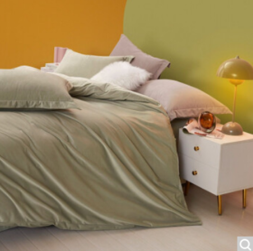 罗莱家纺 床上慕斯绒四件套秋冬加厚保暖床单被套被罩双人套件 苔原大地 绿色 1.8米床220*250cm