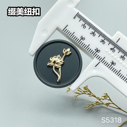 S5318 商品图3