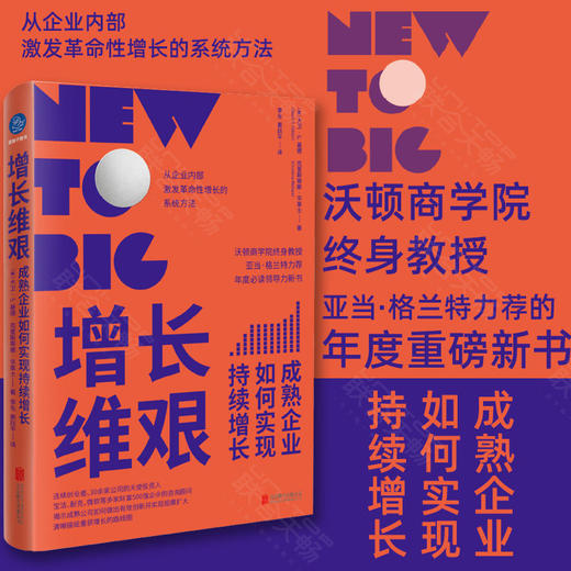 增长维艰：成熟企业如何实现持续增长 商品图0