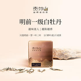 清朴堂 金砖老白茶·00048