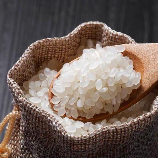 【自营】【组合款】金龙鱼苏北软香稻5KG+胡姬花金衣玉食古法花生油1.8L 商品图7