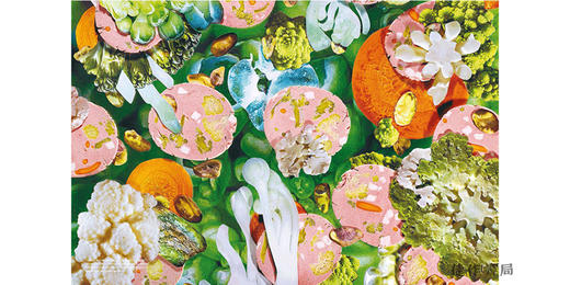 Sausage of the Future/未来的香肠 商品图3