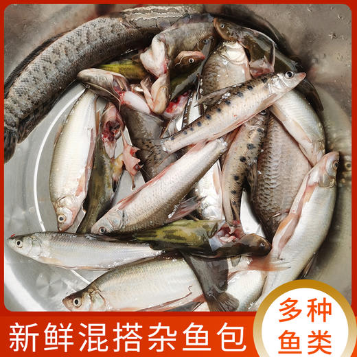 7月29号周五下午送达生态淡水杂鱼包农户曹燕杀好约420450g份