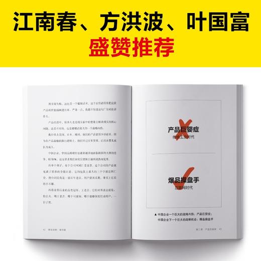 爆品战略:案例篇 商品图3