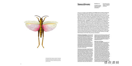 Sausage of the Future/未来的香肠 商品图1