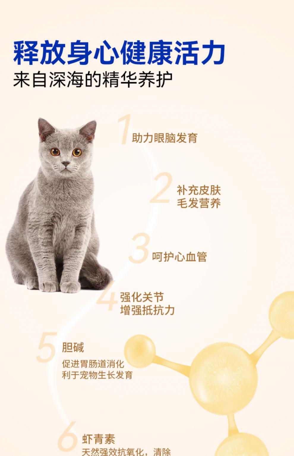 109b99ae3060310a.jpg